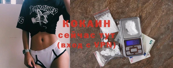 дурь Магас