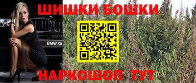 ECSTASY Гатчина