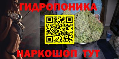 альфа пвп Кингисепп