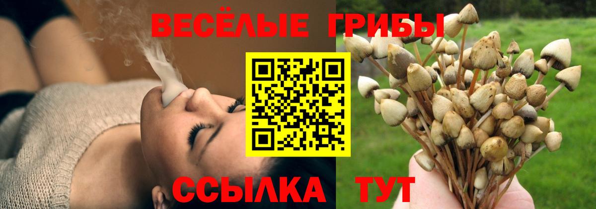 Мариинск  Псилоцибиновые грибы прущие грибы  Вход с VPN 